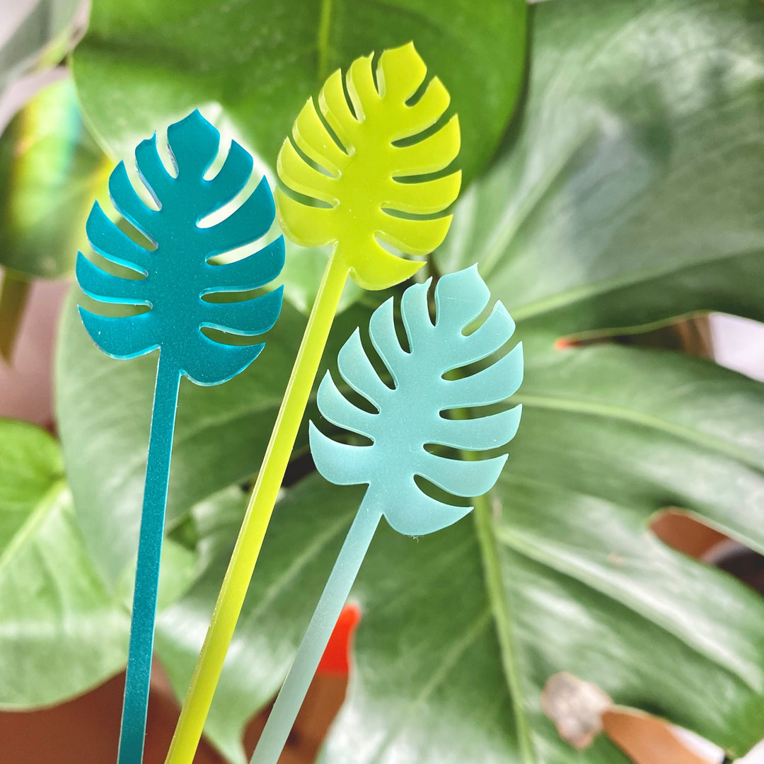 monstera stick Monstera Stir Sticks
