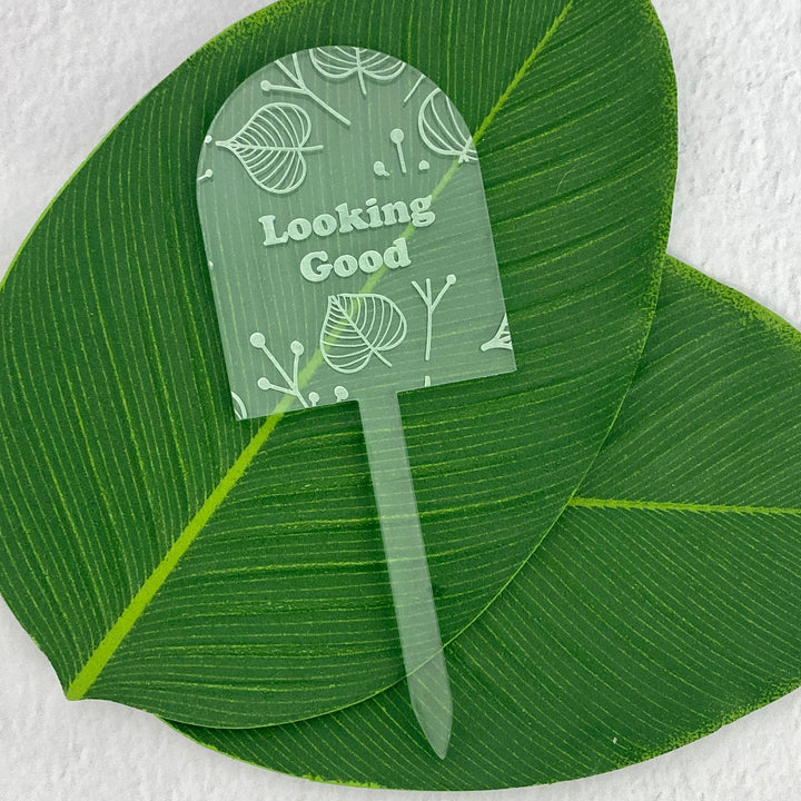 Positive Affirmations Plant Stakes
